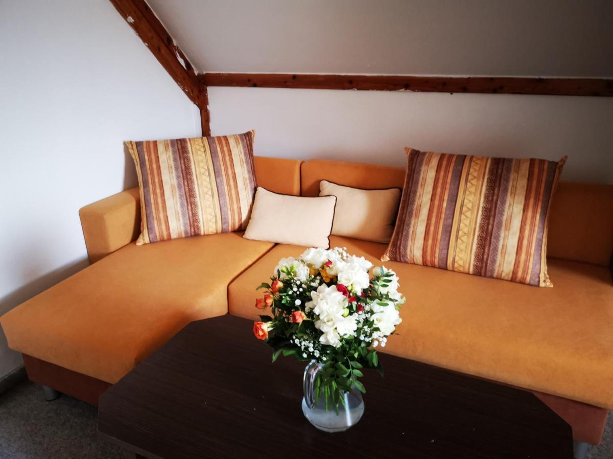 Hotel Penzion Tomy Na Pláži Frymburk Esterno foto