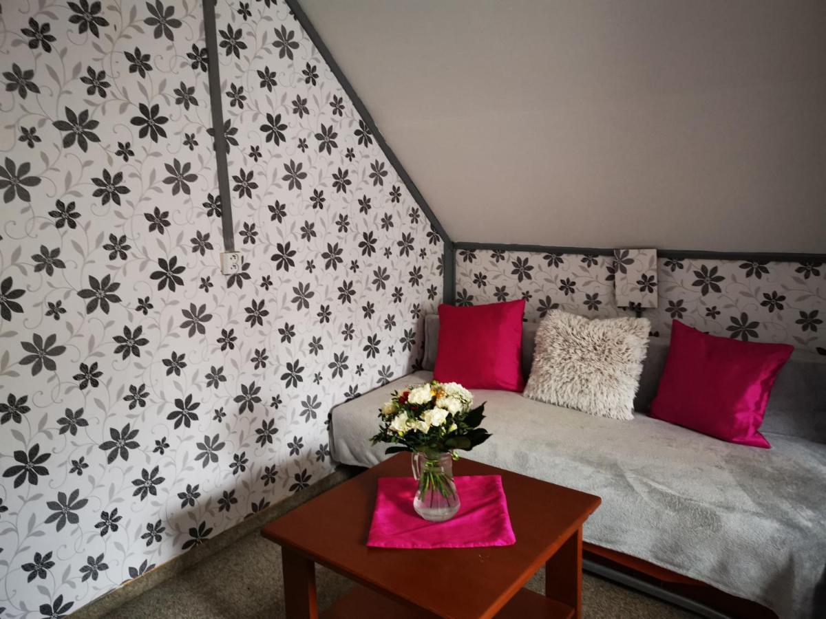 Hotel Penzion Tomy Na Pláži Frymburk Esterno foto