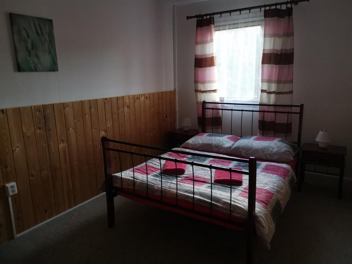 Hotel Penzion Tomy Na Pláži Frymburk Esterno foto